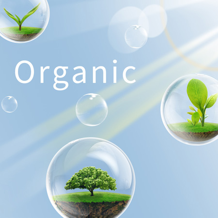 Organic Wipe