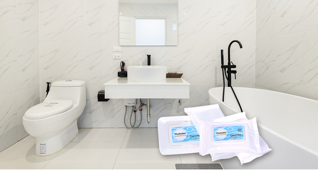 Flushable Toilet Wipes