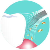 #993 PERFCT Basic PP+TPR Toothbrush