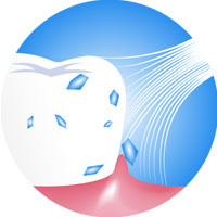 #826 Gum Massager Hotel Short Toothbrush