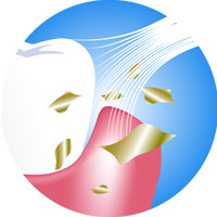 Wheat Straw Toothbrush