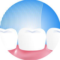 Toothbrush Set (Toothbrush and Toothpaste)