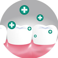 #612 Cheap Foldable Travel Toothbrush